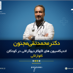 محمدتقی مجنون