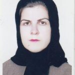 مهین مجدزاده شورکی