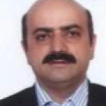 مهران شکری