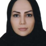 نسرین خاکی