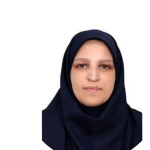 مریم ذاکری حمیدی