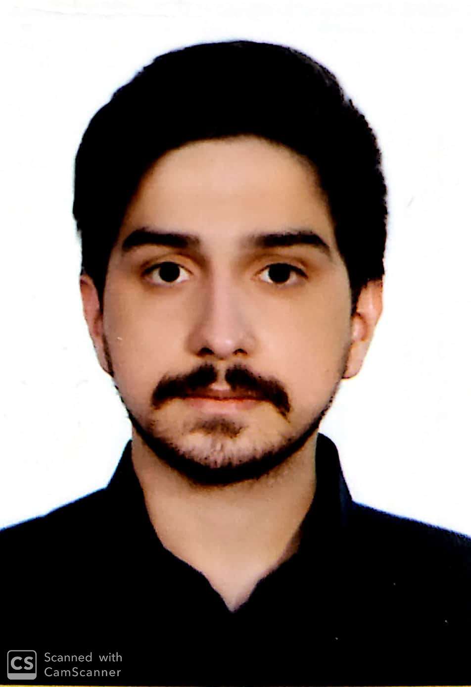میرعلی نگارنده