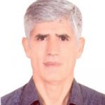 محسن میر محمد صادقی
