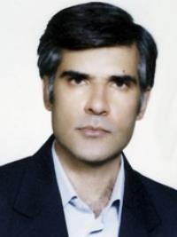 محمدرضا برزگری بافقی