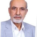 میرزامحمد پهلوان زاده