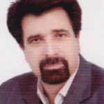 حسین دولت