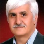 محمدهادی رفیعی