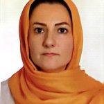 نوشین شاه قلی