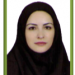 ویدا شیخ