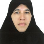 ایران احمدی حجت آبادی