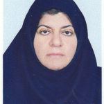 بتول توکلی